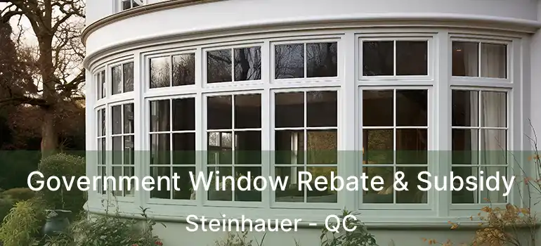  Government Window Rebate & Subsidy Steinhauer - QC