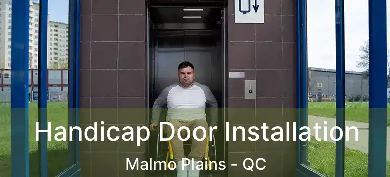  Handicap Door Installation Malmo Plains - QC