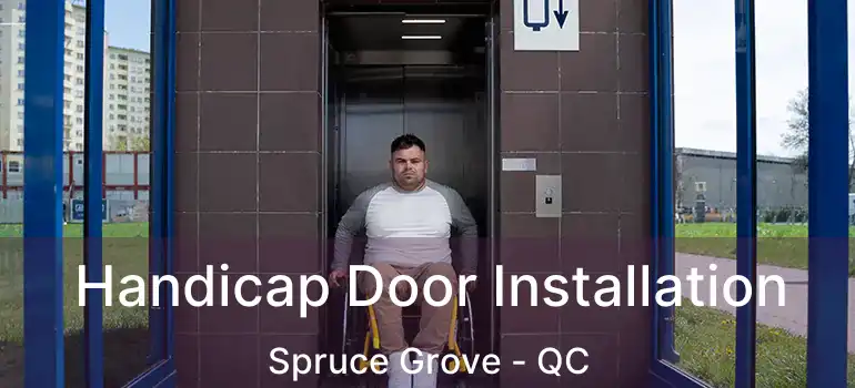  Handicap Door Installation Spruce Grove - QC