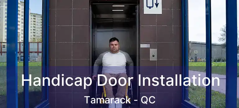  Handicap Door Installation Tamarack - QC