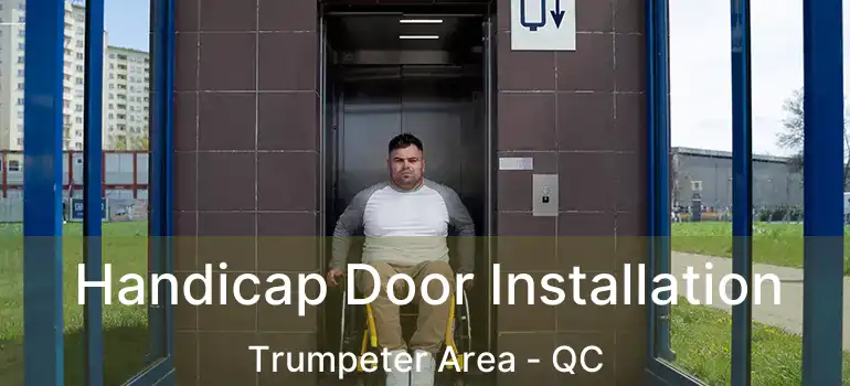  Handicap Door Installation Trumpeter Area - QC
