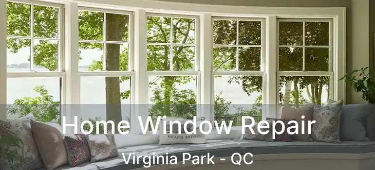  Home Window Repair Virginia Park - QC