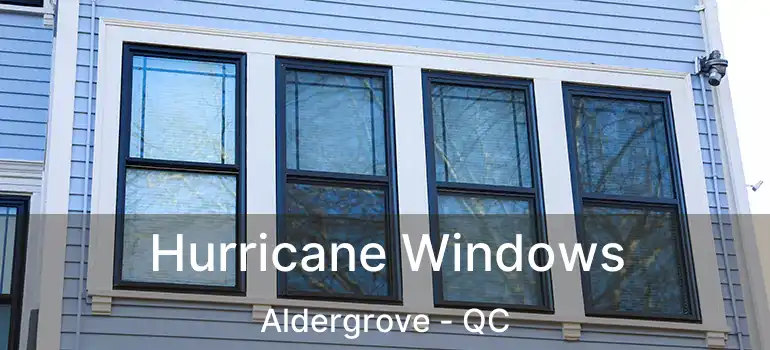  Hurricane Windows Aldergrove - QC