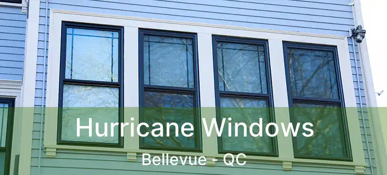  Hurricane Windows Bellevue - QC