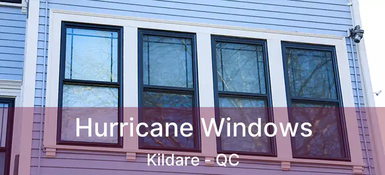  Hurricane Windows Kildare - QC