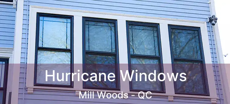  Hurricane Windows Mill Woods - QC