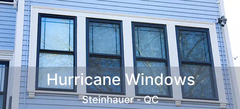  Hurricane Windows Steinhauer - QC