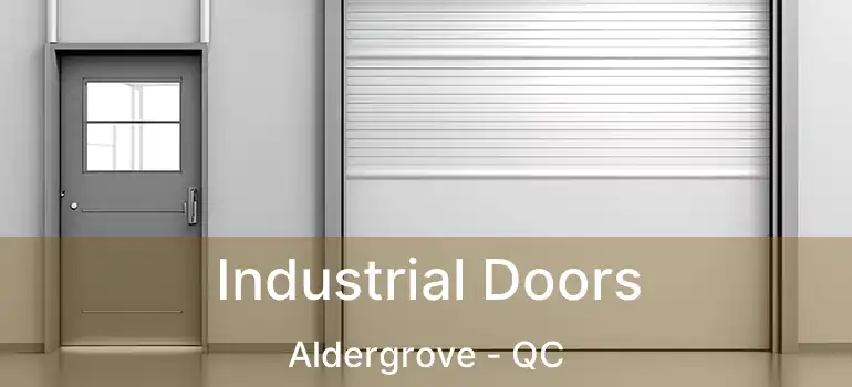  Industrial Doors Aldergrove - QC