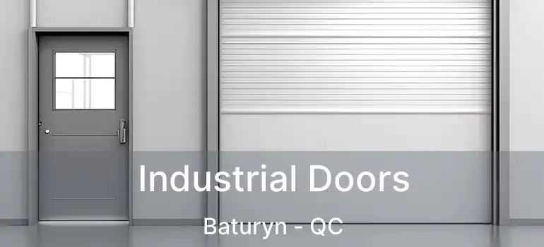  Industrial Doors Baturyn - QC