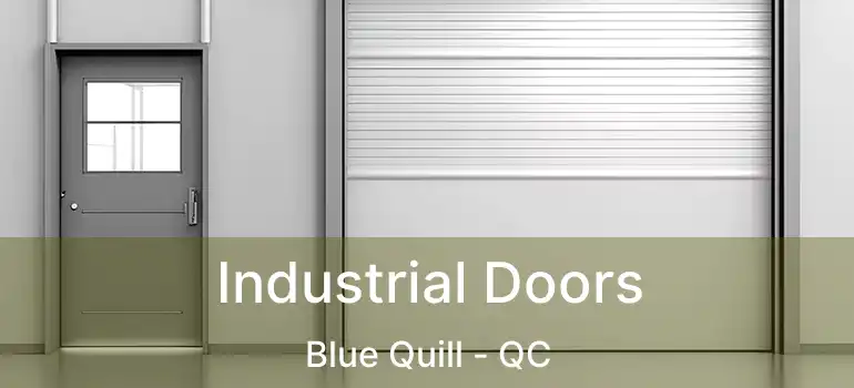  Industrial Doors Blue Quill - QC