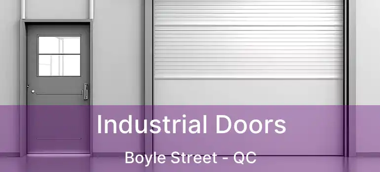  Industrial Doors Boyle Street - QC