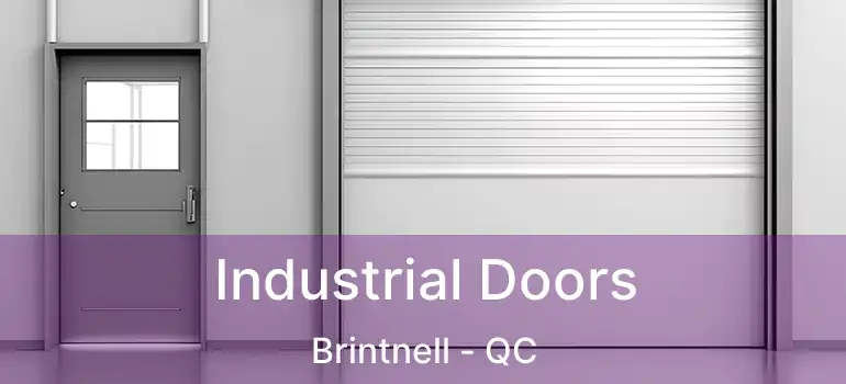  Industrial Doors Brintnell - QC