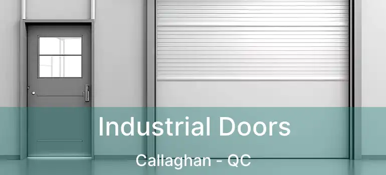  Industrial Doors Callaghan - QC