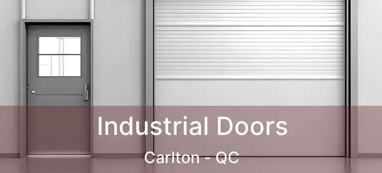  Industrial Doors Carlton - QC