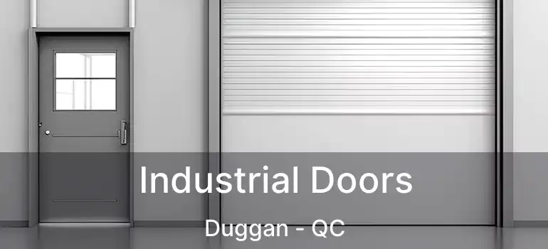  Industrial Doors Duggan - QC