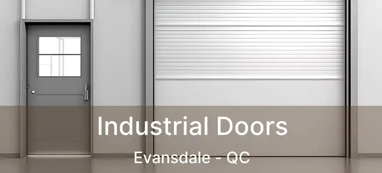  Industrial Doors Evansdale - QC