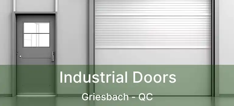  Industrial Doors Griesbach - QC