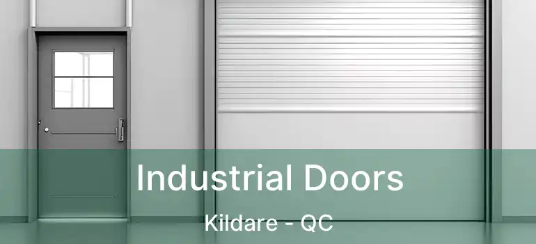  Industrial Doors Kildare - QC
