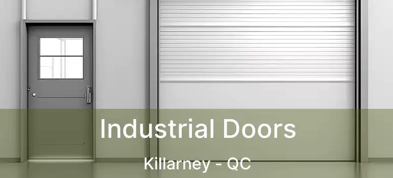  Industrial Doors Killarney - QC