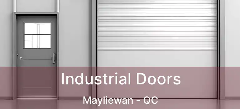  Industrial Doors Mayliewan - QC
