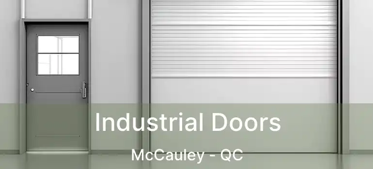  Industrial Doors McCauley - QC