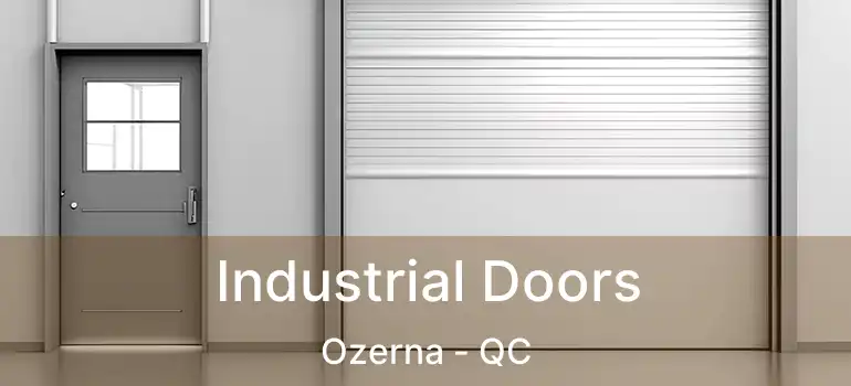  Industrial Doors Ozerna - QC