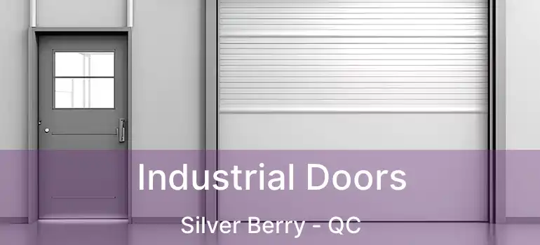  Industrial Doors Silver Berry - QC