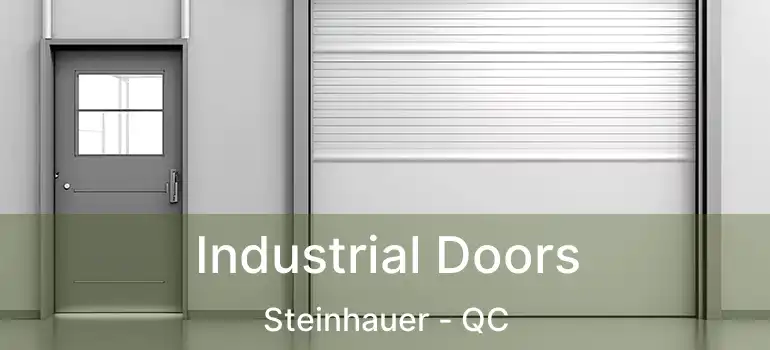  Industrial Doors Steinhauer - QC