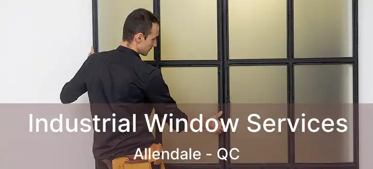  Industrial Window Services Allendale - QC
