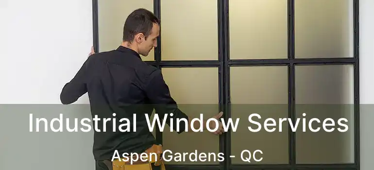  Industrial Window Services Aspen Gardens - QC
