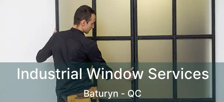  Industrial Window Services Baturyn - QC