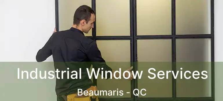  Industrial Window Services Beaumaris - QC