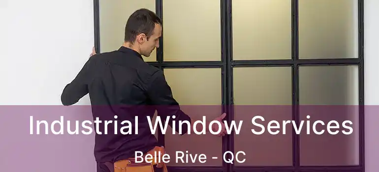  Industrial Window Services Belle Rive - QC