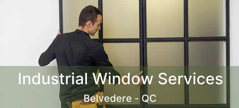  Industrial Window Services Belvedere - QC