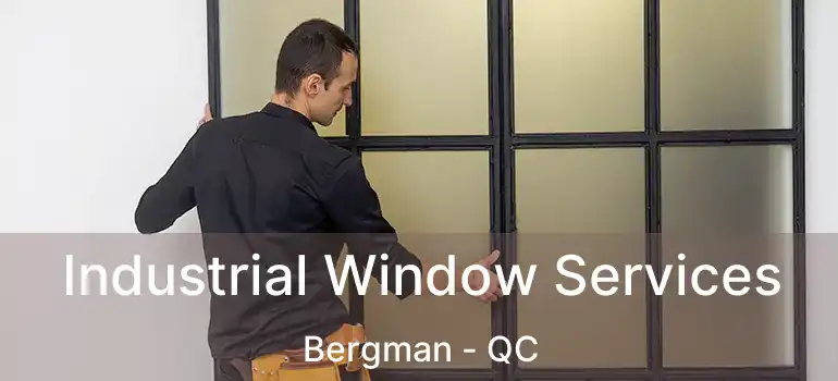  Industrial Window Services Bergman - QC