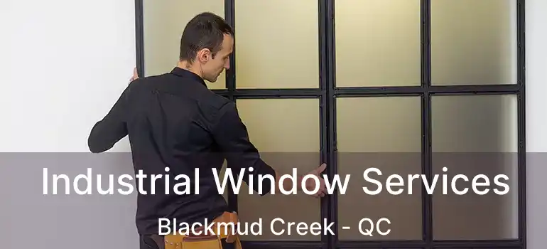 Industrial Window Services Blackmud Creek - QC