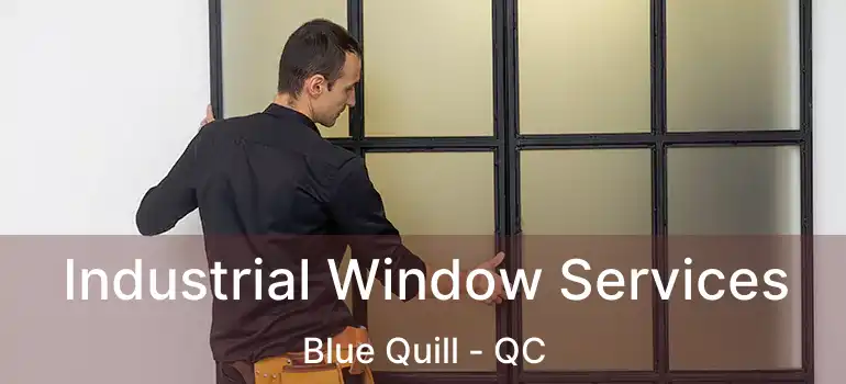  Industrial Window Services Blue Quill - QC