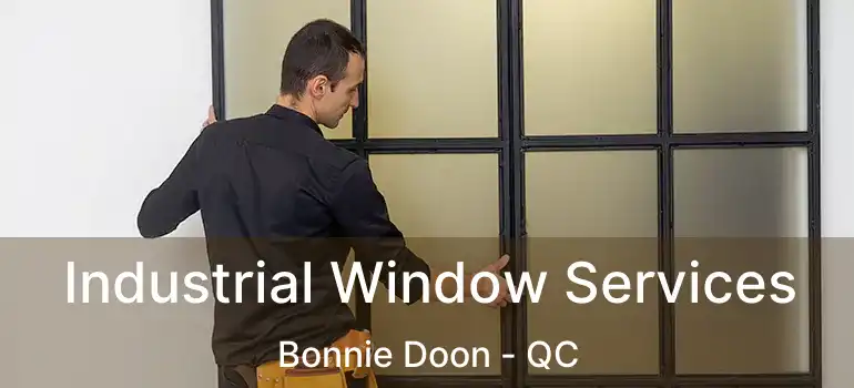  Industrial Window Services Bonnie Doon - QC