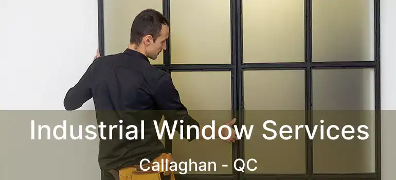  Industrial Window Services Callaghan - QC