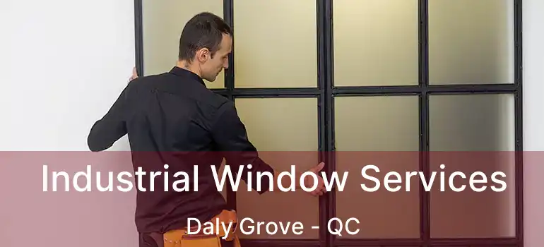  Industrial Window Services Daly Grove - QC