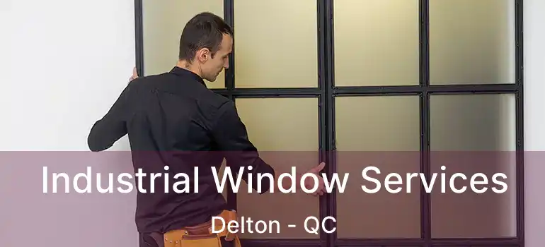  Industrial Window Services Delton - QC
