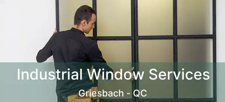  Industrial Window Services Griesbach - QC