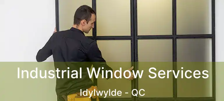  Industrial Window Services Idylwylde - QC