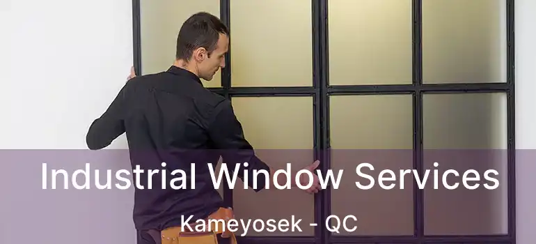  Industrial Window Services Kameyosek - QC