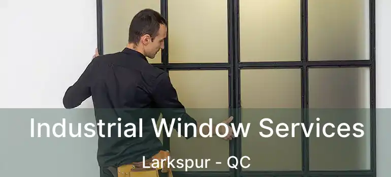  Industrial Window Services Larkspur - QC