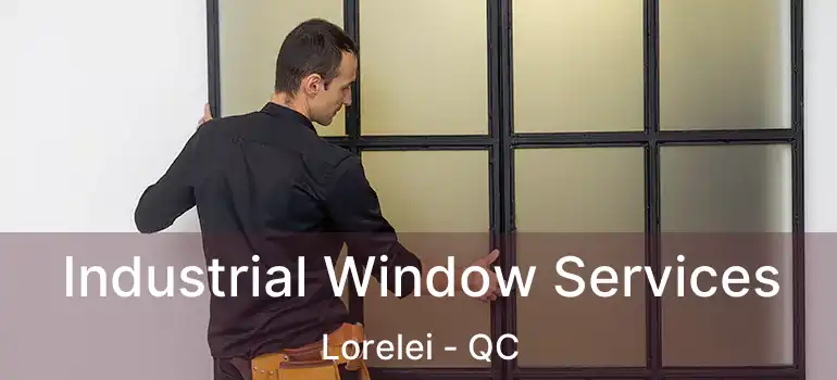  Industrial Window Services Lorelei - QC