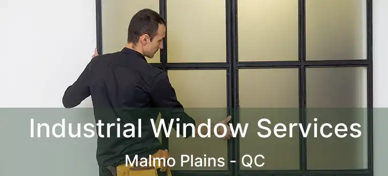  Industrial Window Services Malmo Plains - QC