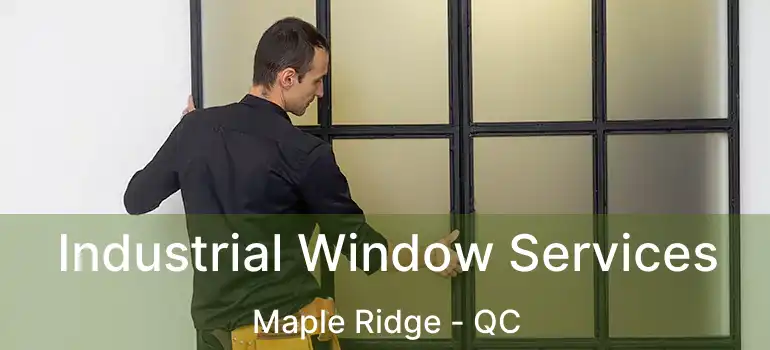  Industrial Window Services Maple Ridge - QC