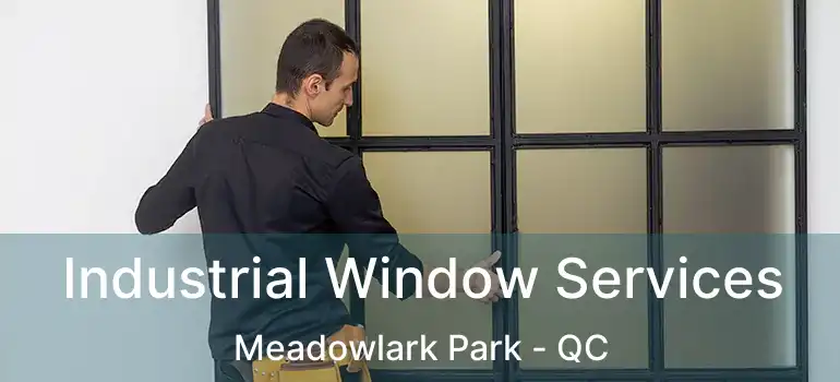  Industrial Window Services Meadowlark Park - QC