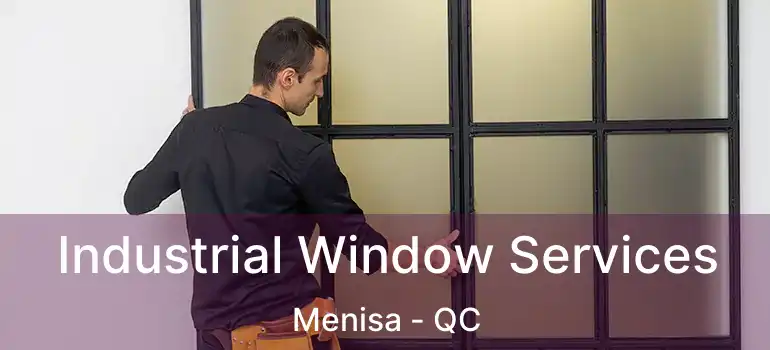  Industrial Window Services Menisa - QC